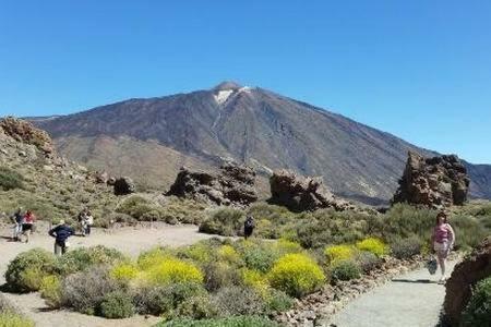 Gfs Home Santa Cruz de Tenerife Ngoại thất bức ảnh
